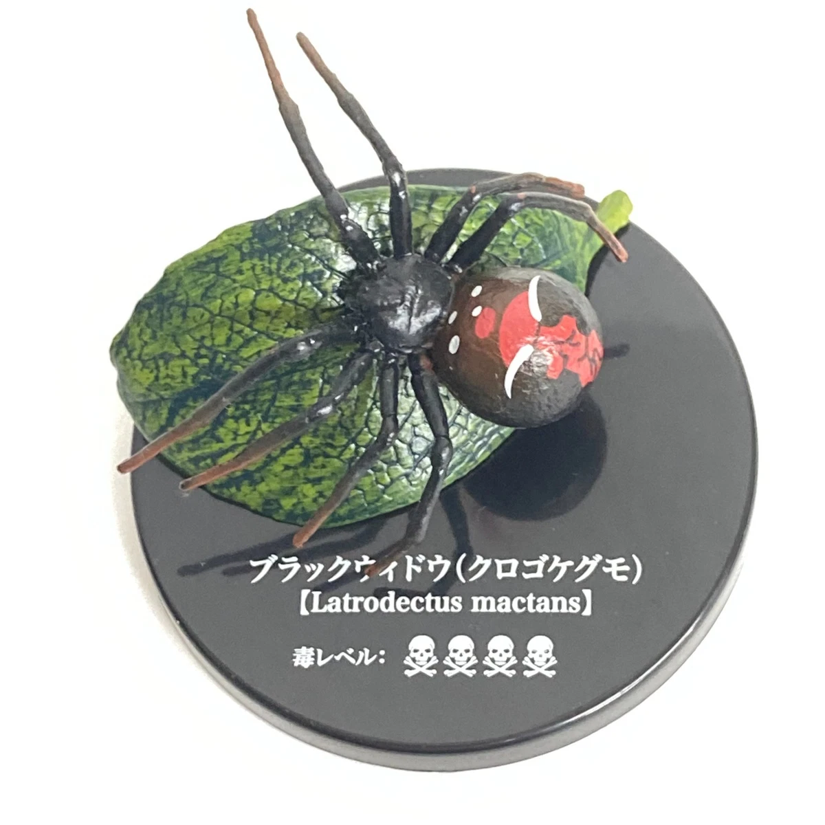 蜘蛛收藏品| eBay