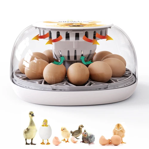Eggs Incubator Chicken Quail Hatcher Incubators Automatic/Manual Hatching Eggs - Picture 59 of 78