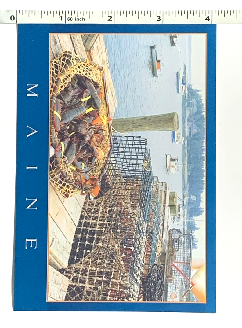 Picture 4 of 4