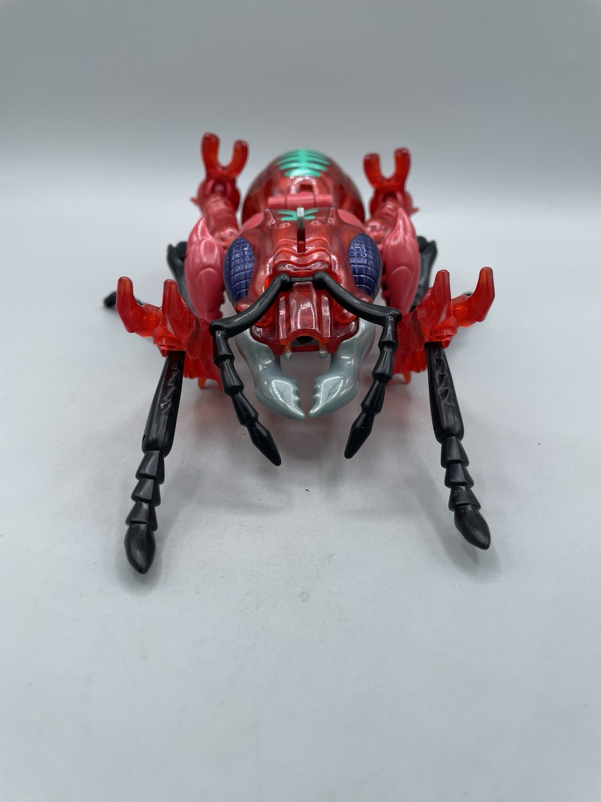 Picture 5 of 13