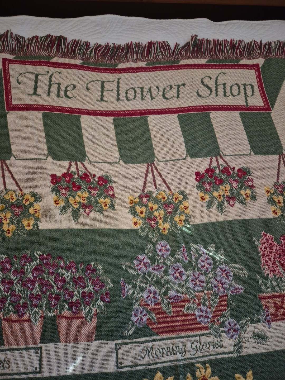 Picture 4 of 24