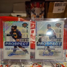 Panini Prospect 2024 Mojo Auto Blake Walters And Cole Messina