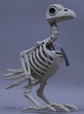 Halloween 7.5 in Crow Skeleton Bones Decor Decoration NWT
