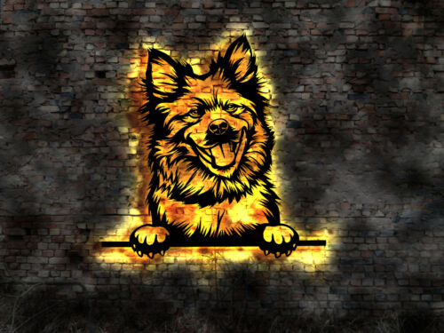 Correa Eurasier perro perro perro criador perros LED decoración sin cachorros collar libro macho - Imagen 1 de 1