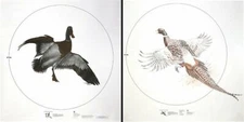 8 NRA Life-Size Game Targets, Mallard (HF07950) or Pheasant (HF07910) 35" x 35"