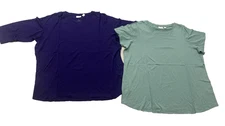 LOGO by Lori Goldstein 2-Pack Tee Top Cotton Modal Purple Aqua Size 2X SS & 3/4