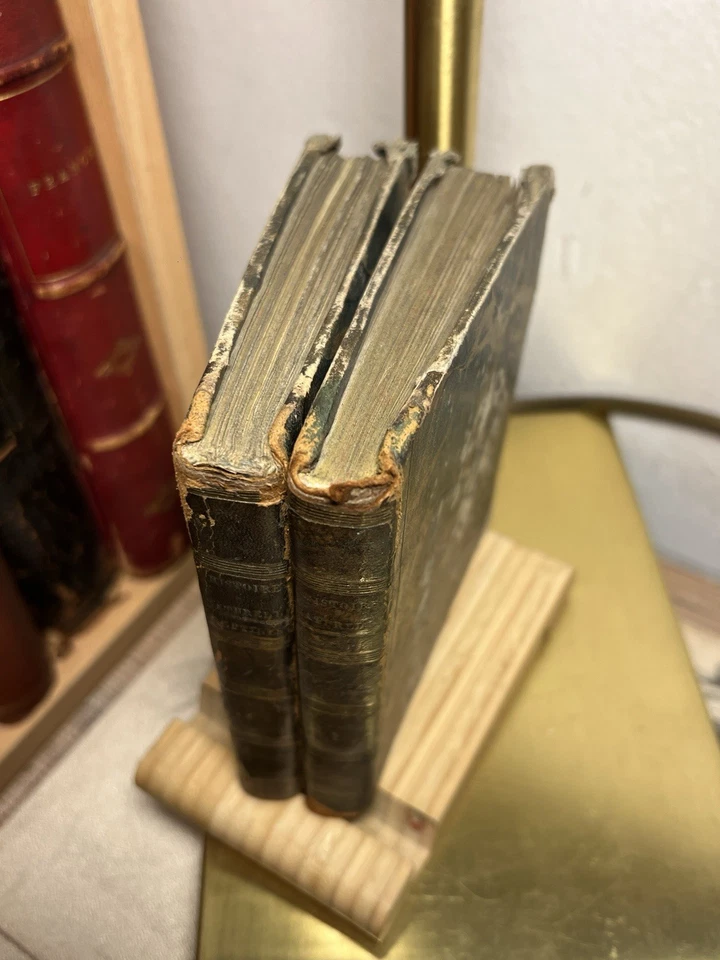 Histoire Naturelle Botanik Biologie Zoologie 1810 Kupferstich Antik Bücher Paris - Bild 3 von 4