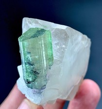 Watermelon Tourmaline Crystal On Quartz Specimen From Afghan 388 Carat