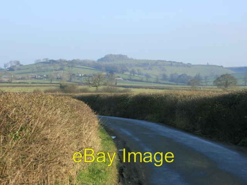 Photo 6x4 2008 : Doynton Lane Dyrham Heading toward Dyram.The hedges ha c2008 - 第 1/1 張圖片