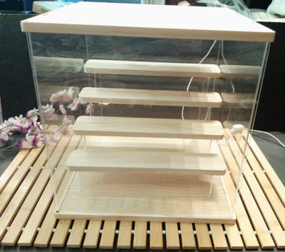 Clear Acrylic Display Case with Light , 5 Tier Dustproof Figurine Stand Display