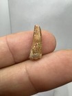 Foto 1 di 13