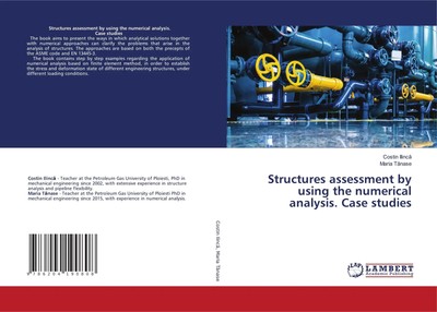Structures assessment by using the numerical analysis. Case studies Taschenbuch