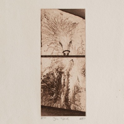 Ebrahim Ehrari Symbolismus Pferd signiert Farbaquatinta Radierung 1990er 2/30