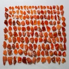 Flames Frozen in Stone~ 152 PC Mexican Fire Opal Rare 4mm-15mm Rough Gems Lot