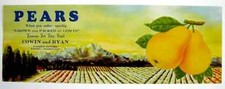Original scarce lug PEARS pear crate label Sunshine Ranch Cowin & Ryan Wapato WA