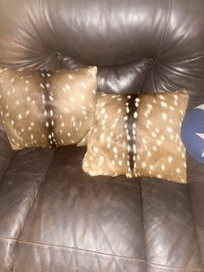 Axis Pillows Set of 2