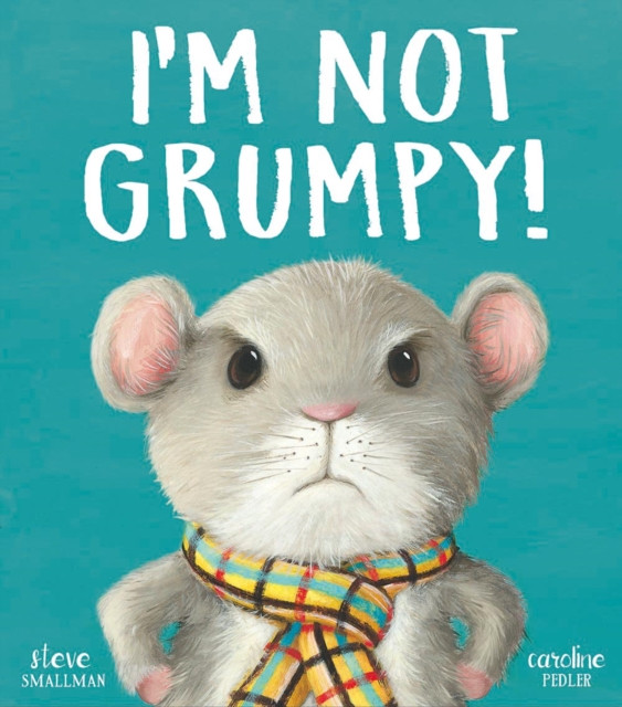 I’m Not Grumpy! by Steve Smallman (Paperback Book)