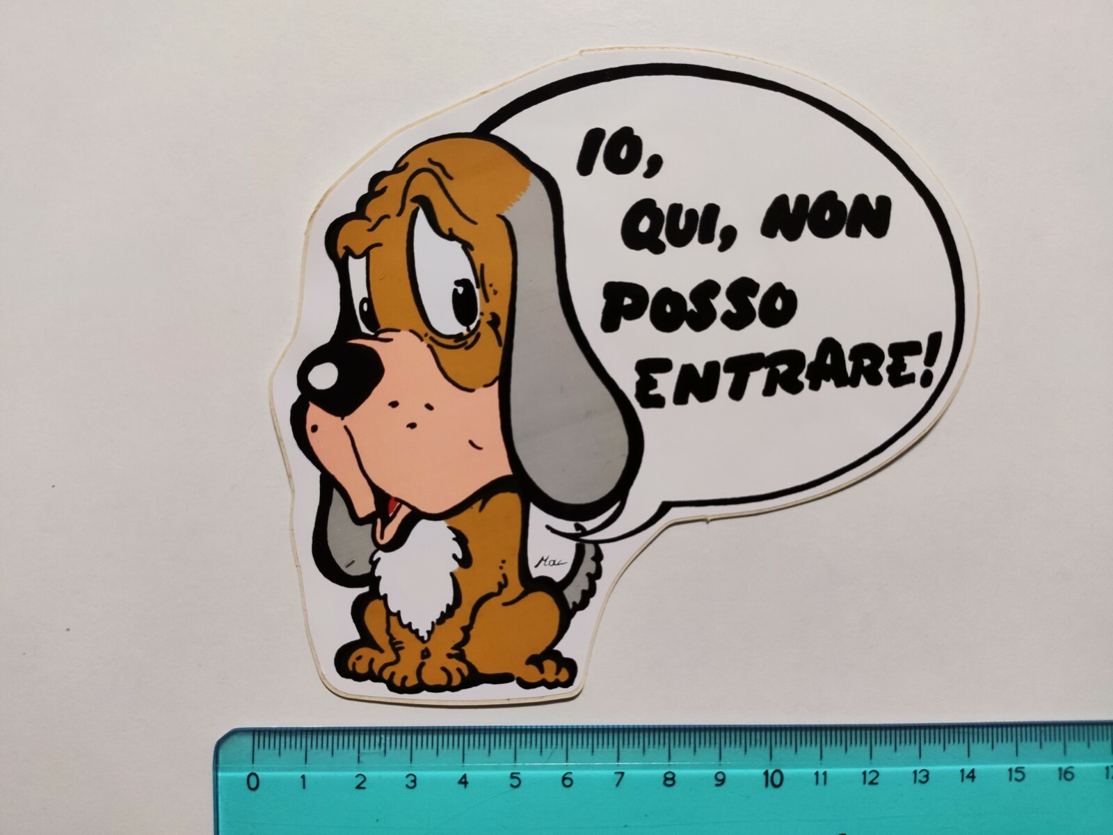 Foto 1 di 1
