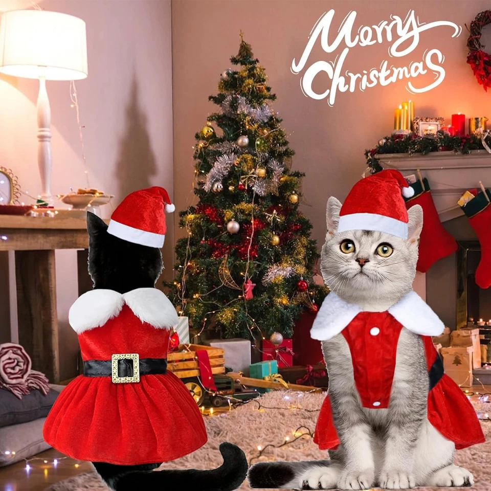 Cat Kitten Christmas Outfit - Santa Dress & Hat, Size S,M,L,XL - Image 2 of 4