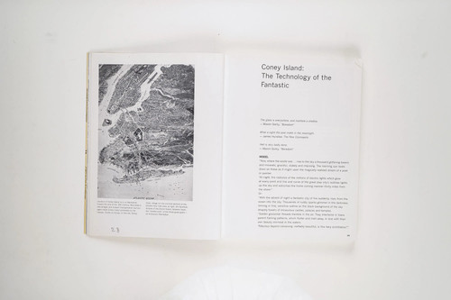Delirious New York: A Retroactive Manifesto for Manhattan by Rem Koolhaas 1994 - Foto 6 di 10