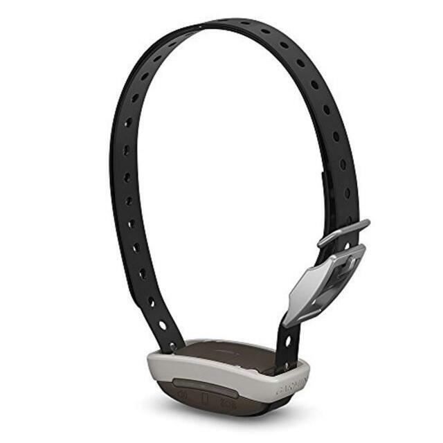 garmin dog collar