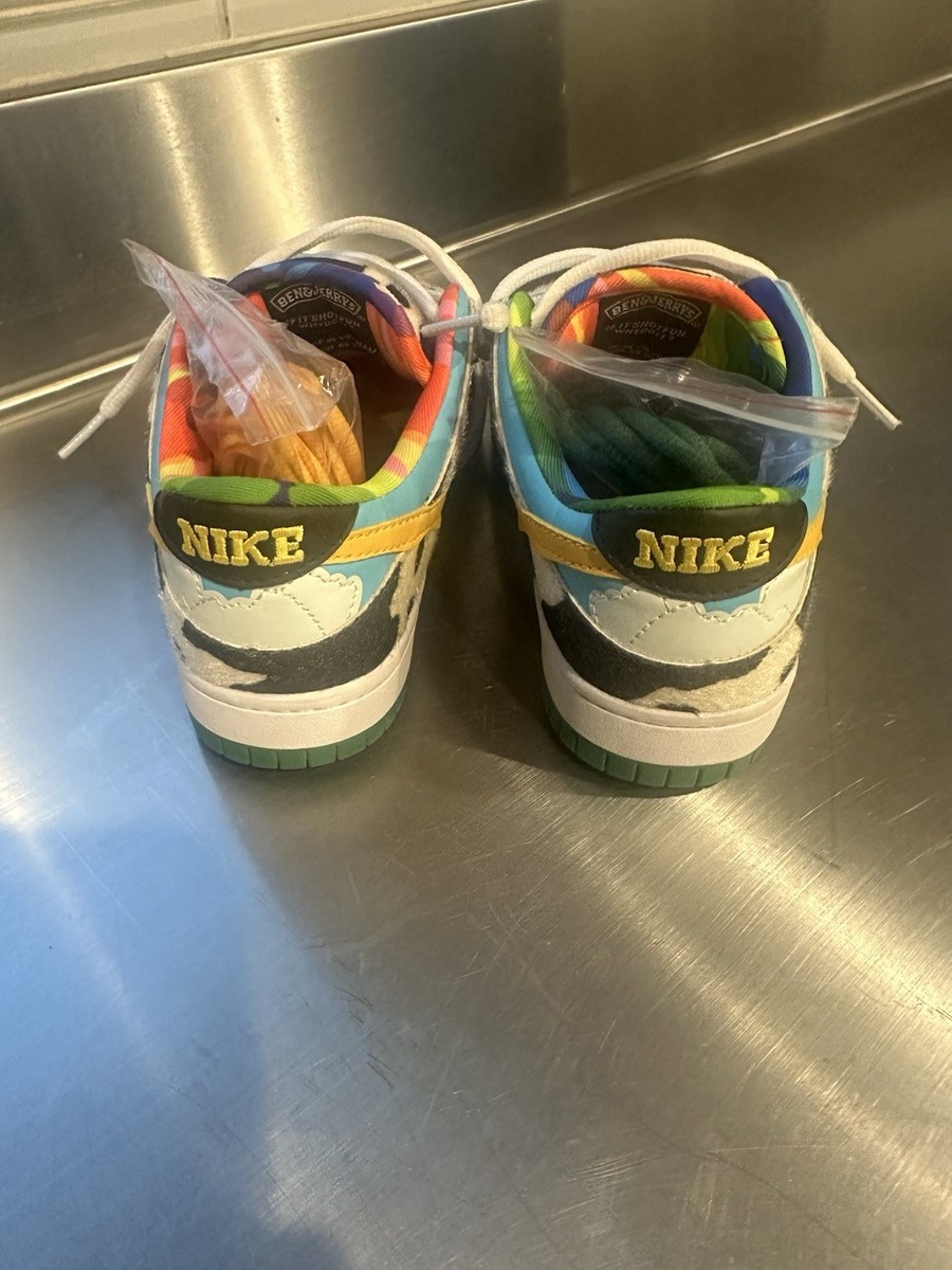 Nike SB Dunk Low Chunky Dunky US10 正規品 Size 10.5 - NEW - Nike Dunk Low SB x Ben & Jerry's Chunky