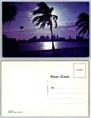 Moon Over Miami Postcard Vintage Chrome Palm Tree City Skyline Florida