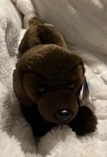 Animal Adventure Puppy Dog Plush Stuffed Animal Chocolate Brown Lab Cute NEW