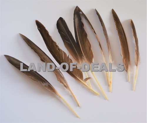 40+ Duck pointer feathers Natural brown loose real feathers for crafts 0.5/1 oz - Picture 4 of 8