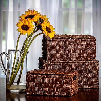 Set of 3 Rectangular Seagrass Baskets with Lids by Trademark Innovations  Brown