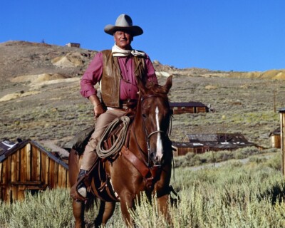 Chisum John Wayne iconic pose on horseback by western town legend 24x36 Poster