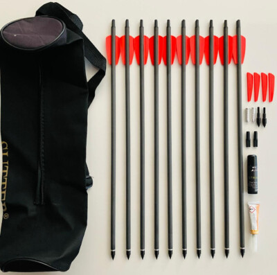 SET: 10 Carbonbolzen 15'' f. Cobra RX - 130 lbs + Zubehör Carbonpfeil Ek Archery 