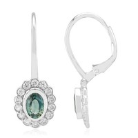 Cavill Ohrringe Petrol Saphir 2,07Ct Oval Sterling Silber Platiert Damen