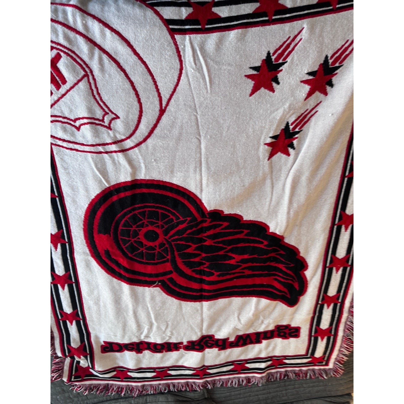 The Northwest Company NHL Detroit Redwings Black Heavy Acrylic Blanket 6' x 4'