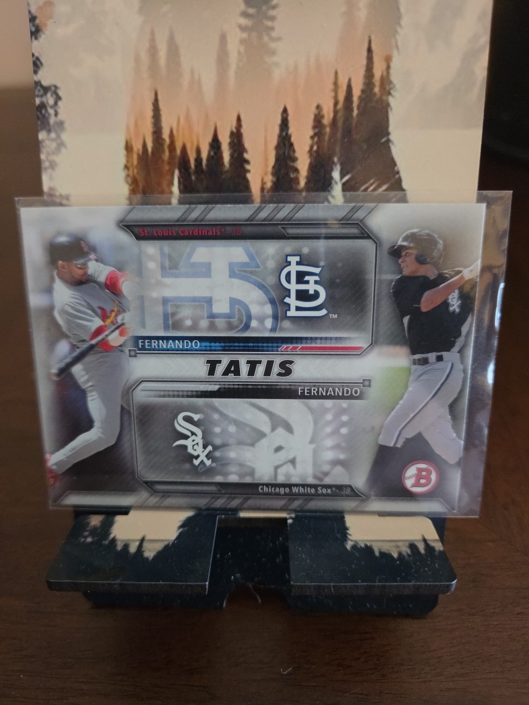 2016 Bowman Family Tree Fernando Tatis/Fernando Tatis Jr #FT-T ST Louis 