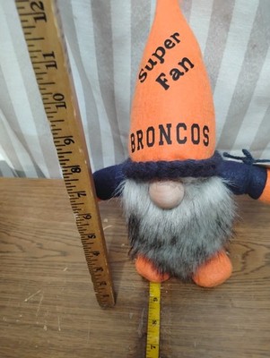 RARE Gnomes Rocky Mountain Park Denver Broncos Super Fan Guardians of the Park