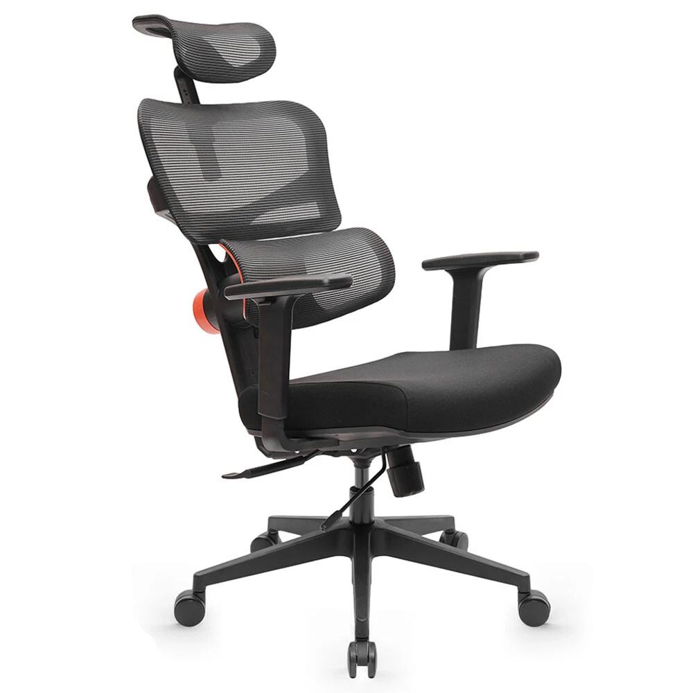 Ergonomic Office Chair, High Back Office Chair with Lumbar Pillow and  Retractabl