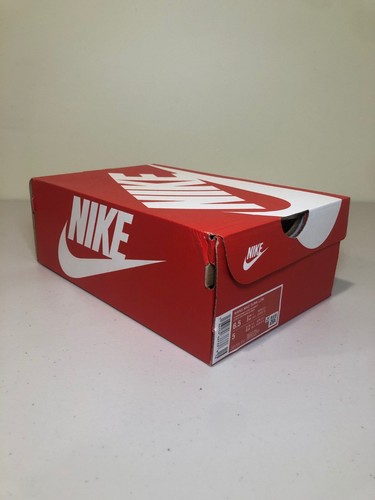 Nike Dunk Low Terry Swoosh Women's Sneaker Size 6.5W DZ4706-200 - Picture 9 of 10