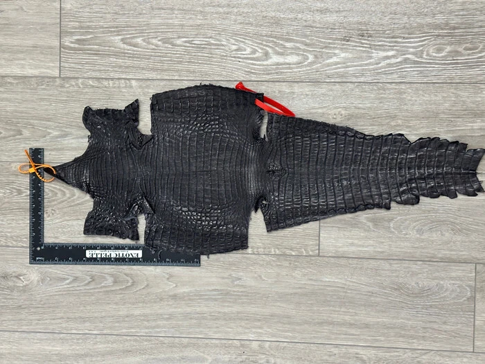 Dark Grey Caiman Crocodile belly Hide Leather Skin real alligator gray Croc 379 - Image 2 of 4