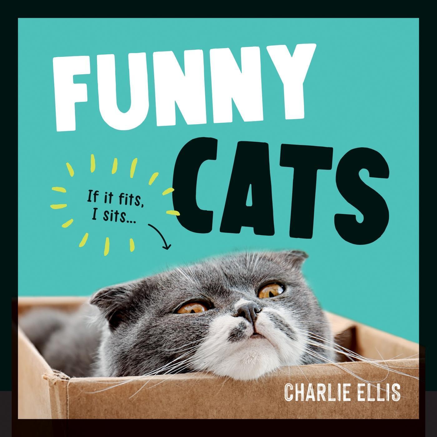Thumbnail - Funny Cats Charlie Ellis