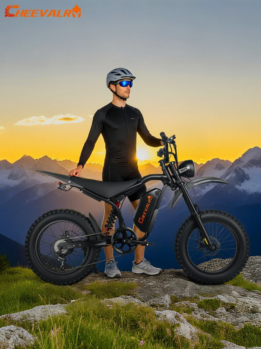HX 20 Q3 Elektrische Fiets Voor Volwassenen Met Krachtige Motor,48V 20AH Verwijderbare Batterij