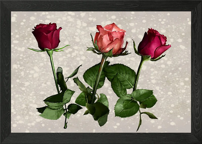 Rosen gerahmtes Wandbild Poster Leinwanddruck Bild