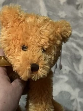 Russ Berrie Shining Stars 2006 Bear "Honey" Plush Stuffed 9" Toy # 34419