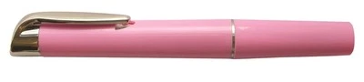 TIMESCO Reusable Pen Torch - various colours - with Batteries