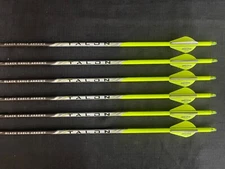 Black Eagle Talon Yellow 300 .001 Yellow Crested Hunting Arrow 6 Pack BRAND NEW