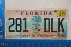 Florida LIcense Plate Tag 2019 19 INvest in Children Kids Graphic #281 DLK