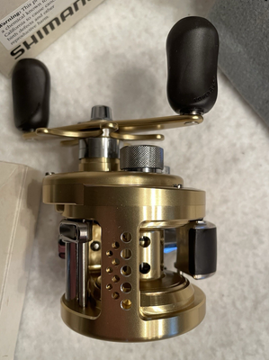 Shimano Calcutta TE 200GT Saltwater Reel. MINT CONDITION! | eBay