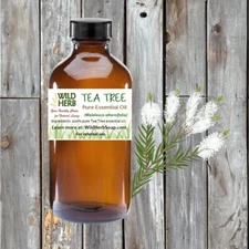 TEA TREE ESSENTIAL OIL |Organic, Pure, Undiluted| Wholesale Prices | .5 to 32 oz