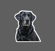 Black Lab Sticker Dog Animal Pet Love Family Gift Outdoor Waterproof NEW