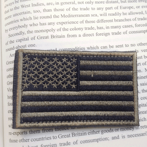 EE. UU. PARCHES BORDADOS BANDERA EE. UU. INSIGNIA EJÉRCITO GANCHO Y PARCHE DE BUCLE - Imagen 2 de 5